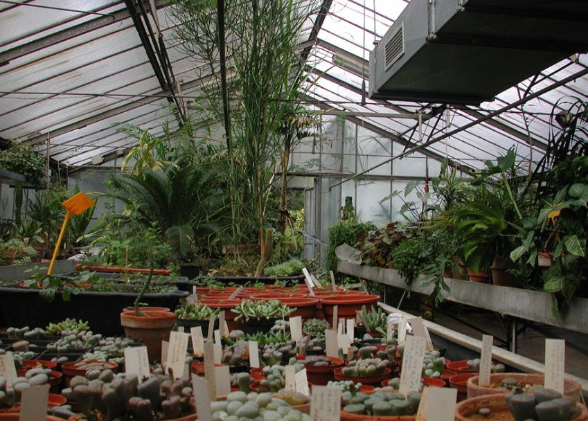 Orto Botanico dell'Università di Bari, Bari, Metropolitan City of Bari, Italy, Italy